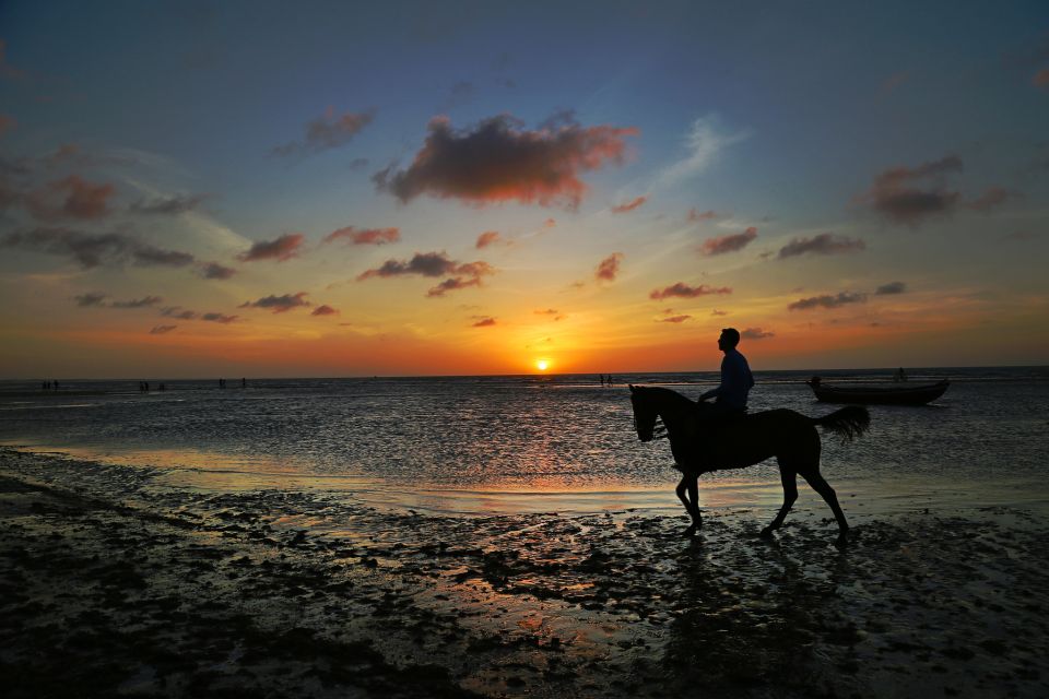 Promenade à cheval