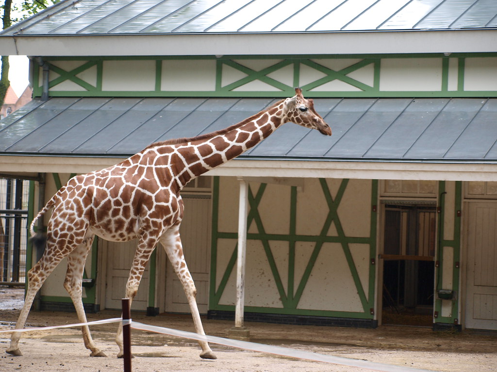 Artis Zoo