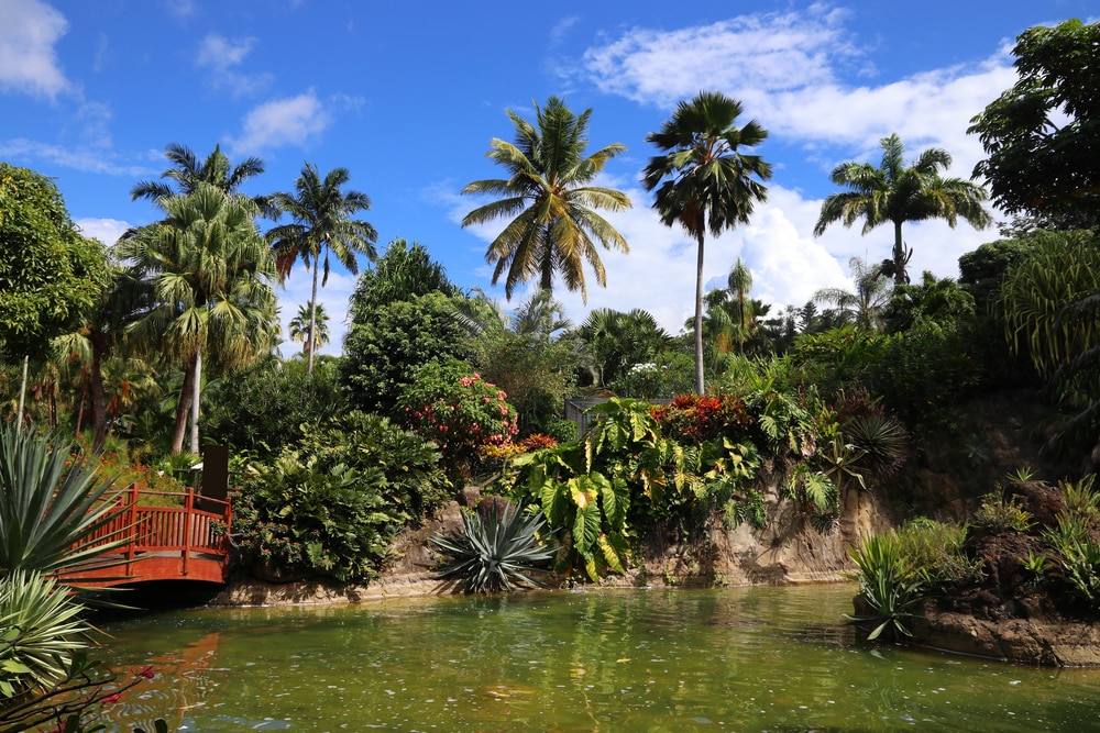 Jardin Botanique de Deshaies