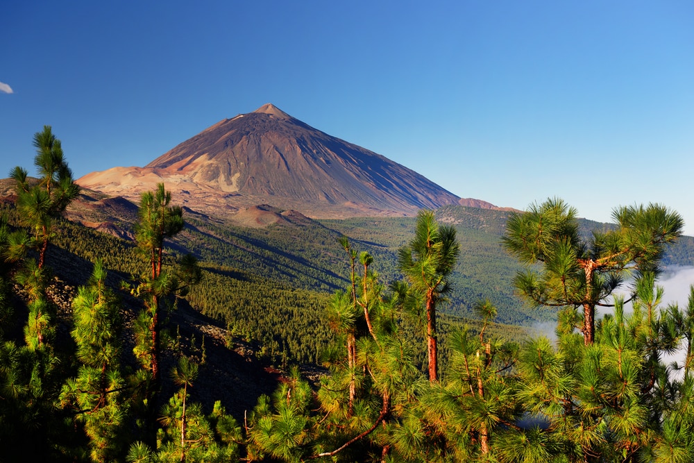 Parc National du Teide