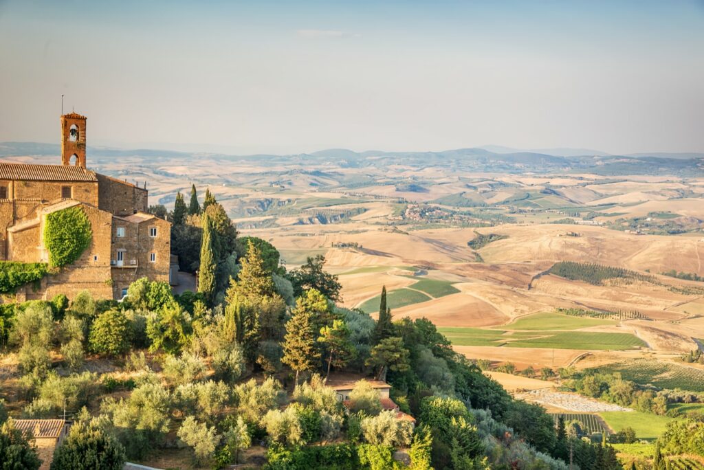 Vignobles du Chianti