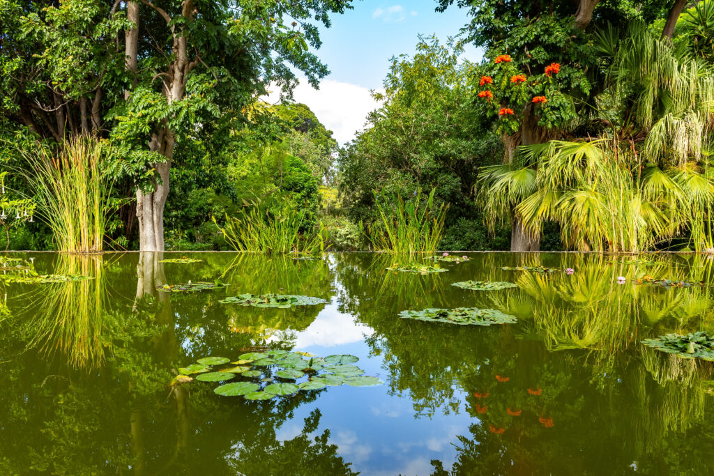 Jardin Botanique