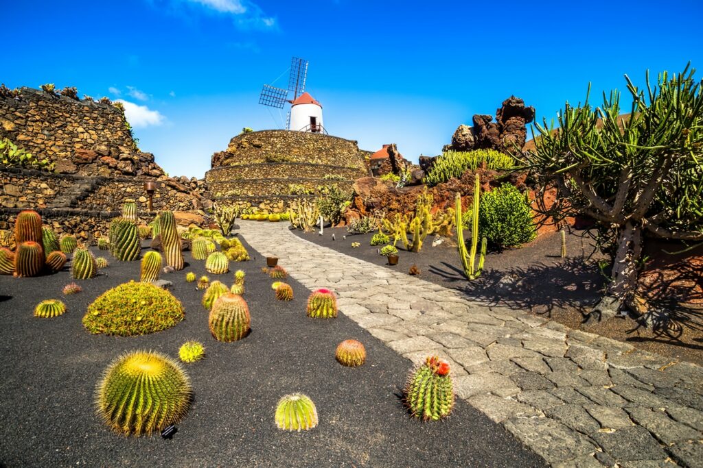 Jardin de Cactus