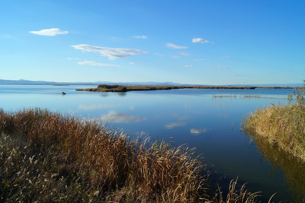 Réserve Naturelle de l’Albufera