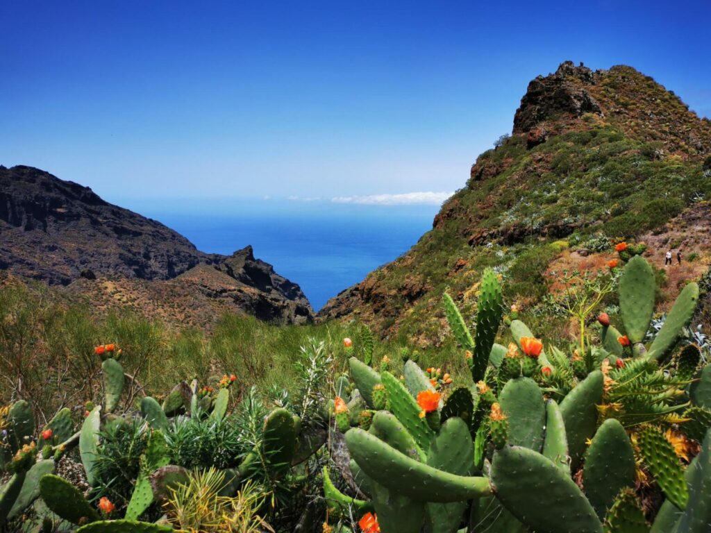 Teno Rural Park