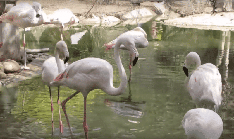 Vallée des Oiseaux