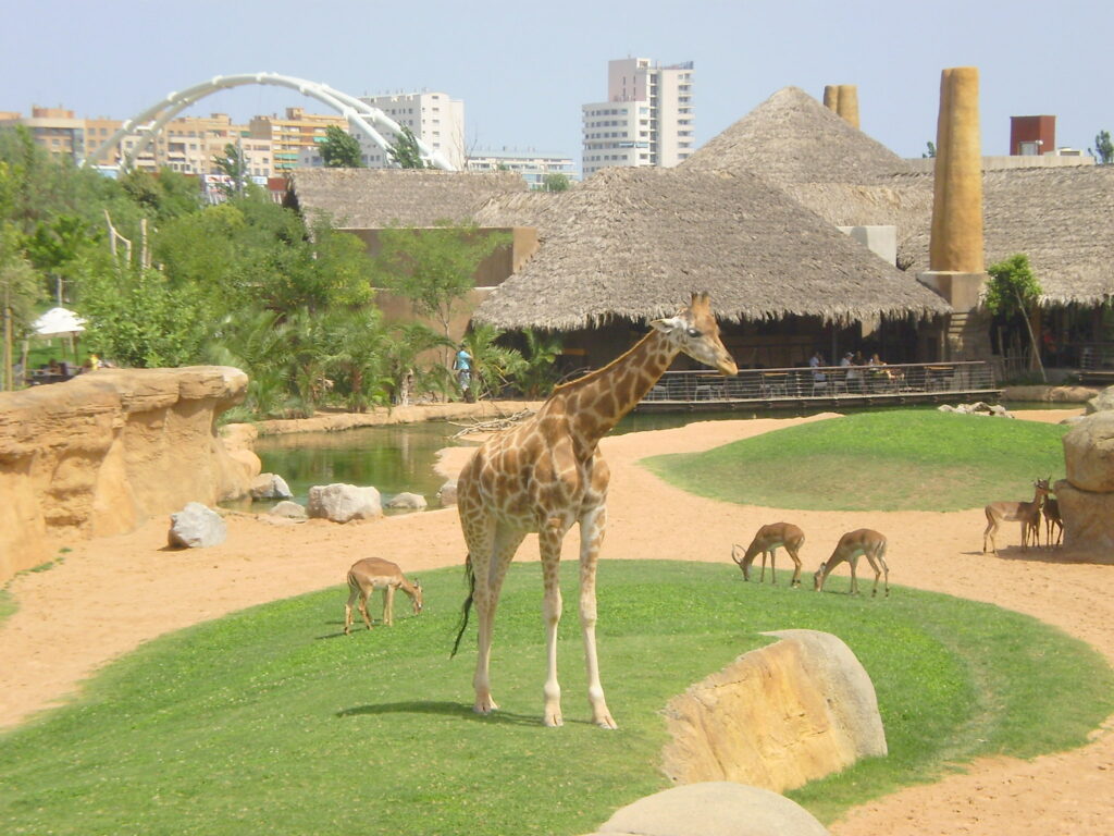 Zoo de Valence