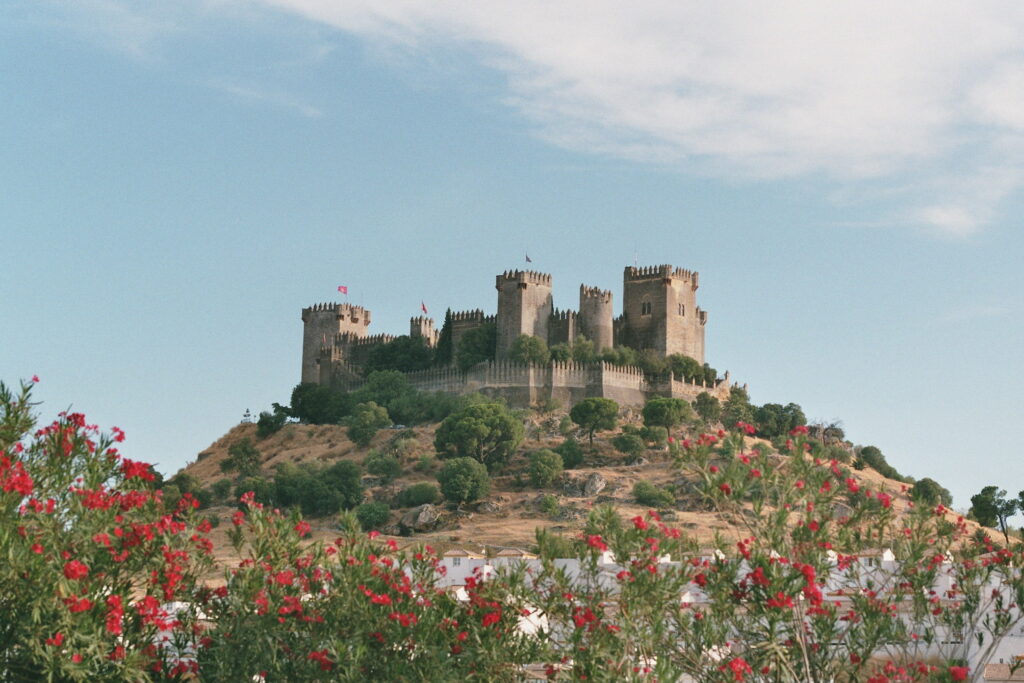 Château d’Almodóvar del Río