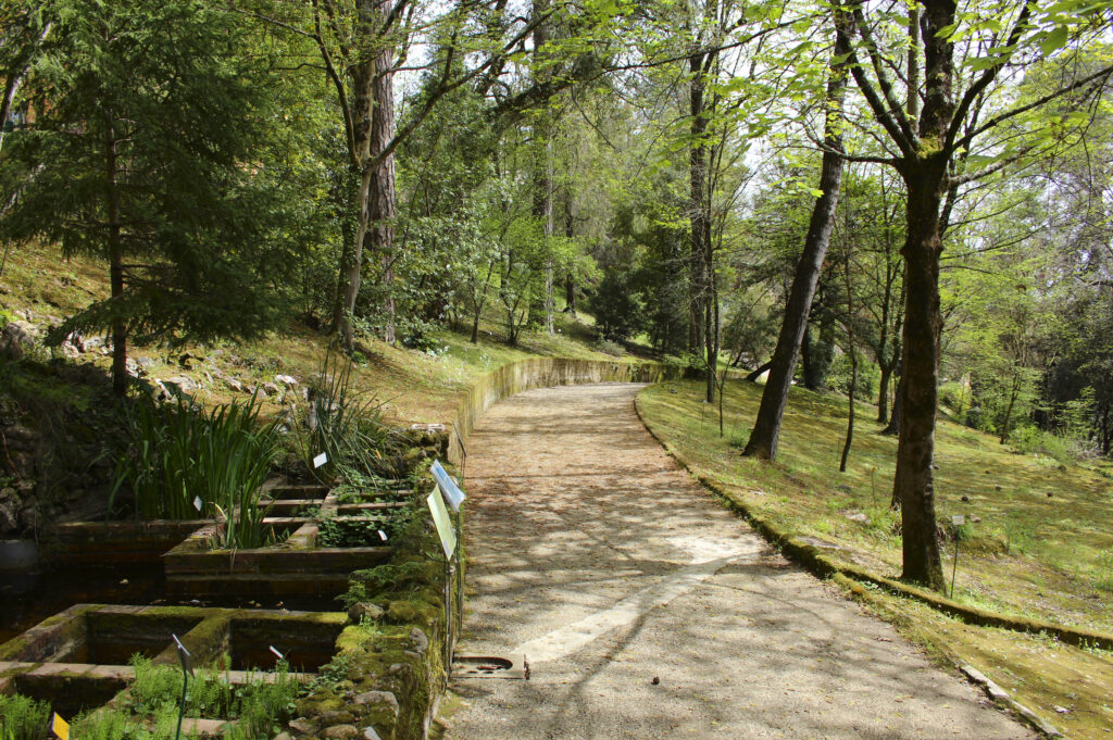 Jardin botanique