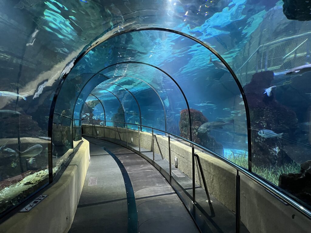 Aquarium de Barcelone