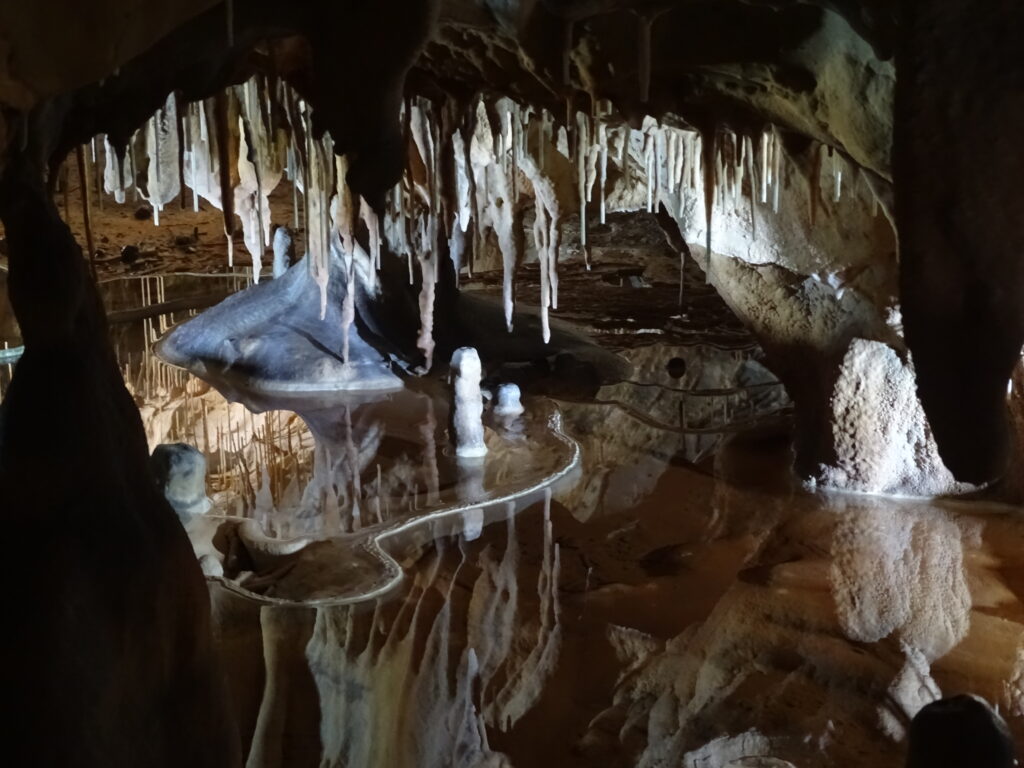 Arènes du Grau du Roi