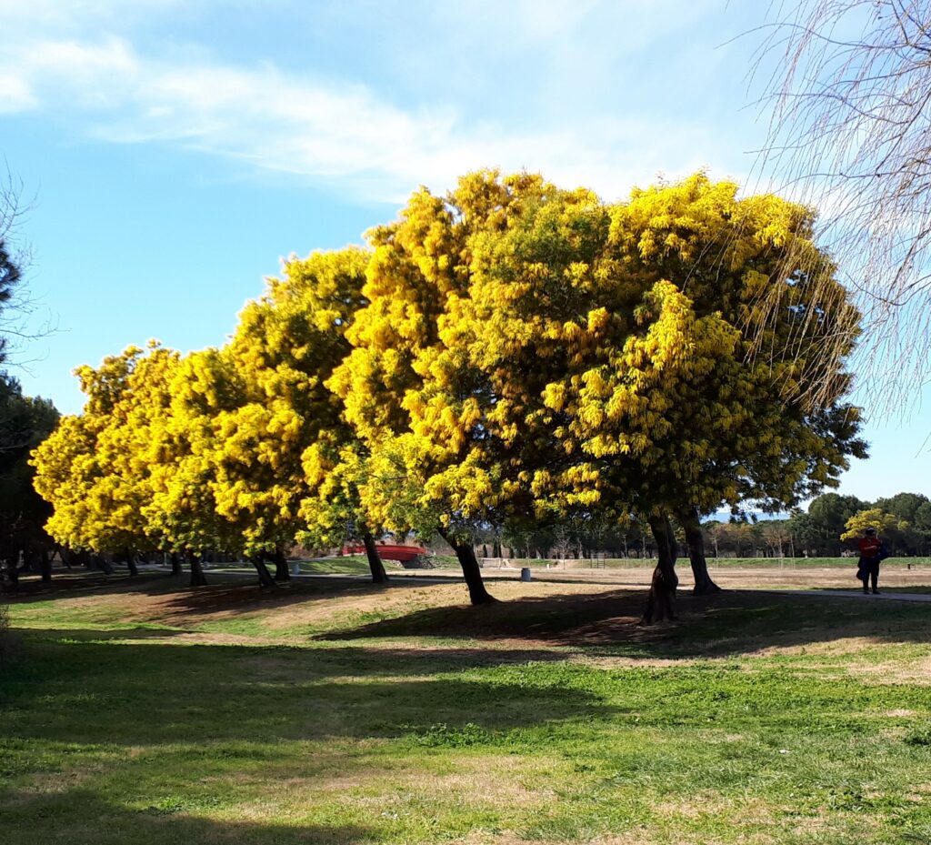 Parc de la Prade