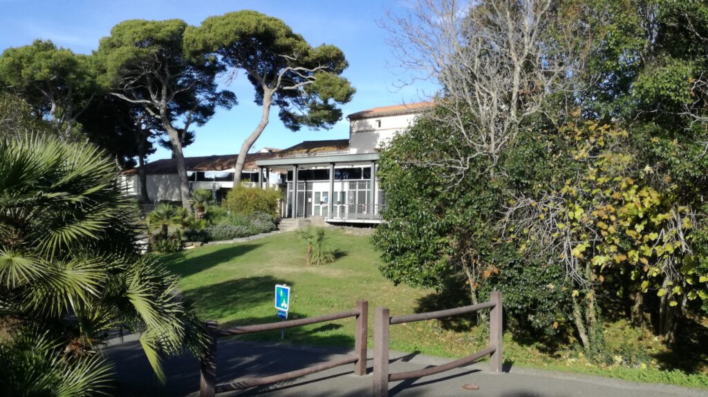 Musée de l’Ephèbe et d’archéologie sous-marine