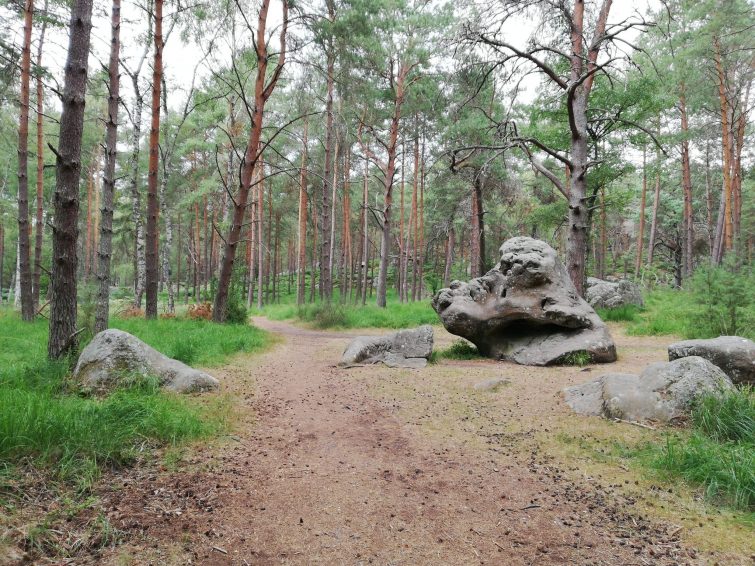 Forêt de Fontainebleau