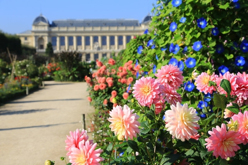 Jardin des Plantes