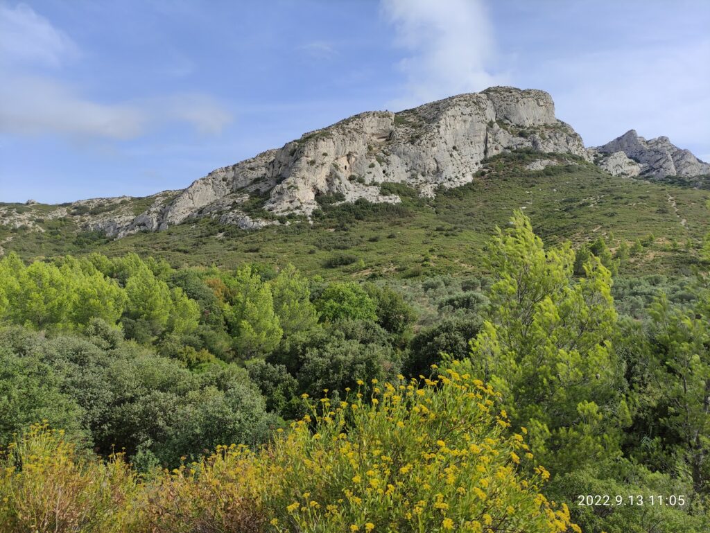 Parc naturel régional des Alpilles