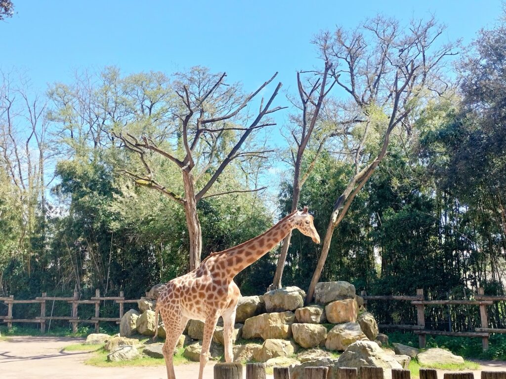 Zoo des Sables d’Olonne