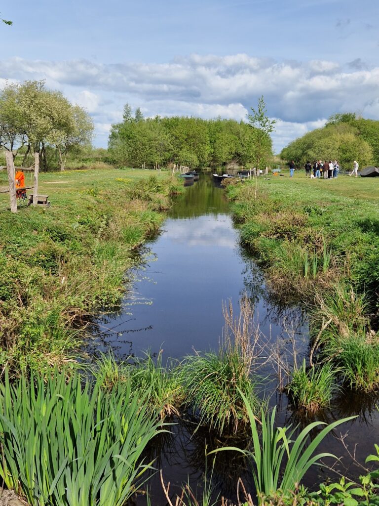 Parc naturel régional de Brière