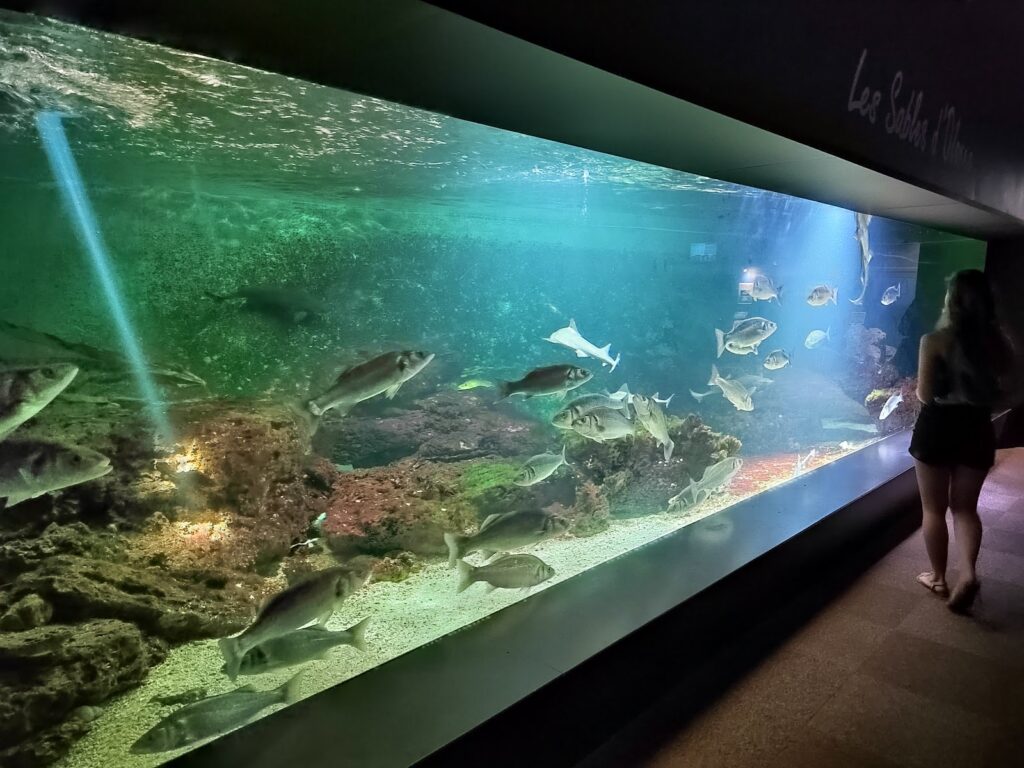 Aquarium de Vendée