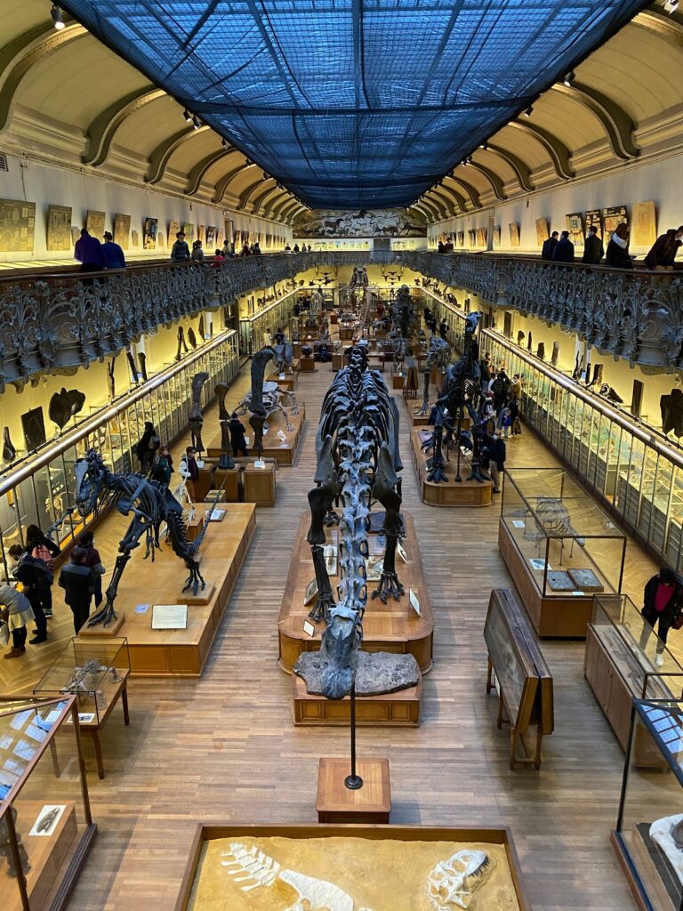 Muséum d’Histoire Naturelle