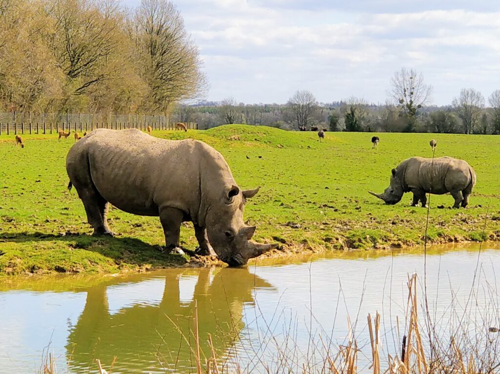 CERZA Parc des Safaris