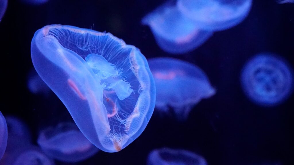 Aquarium de Paris