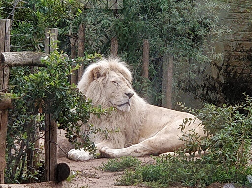 Zoo d’Amnéville