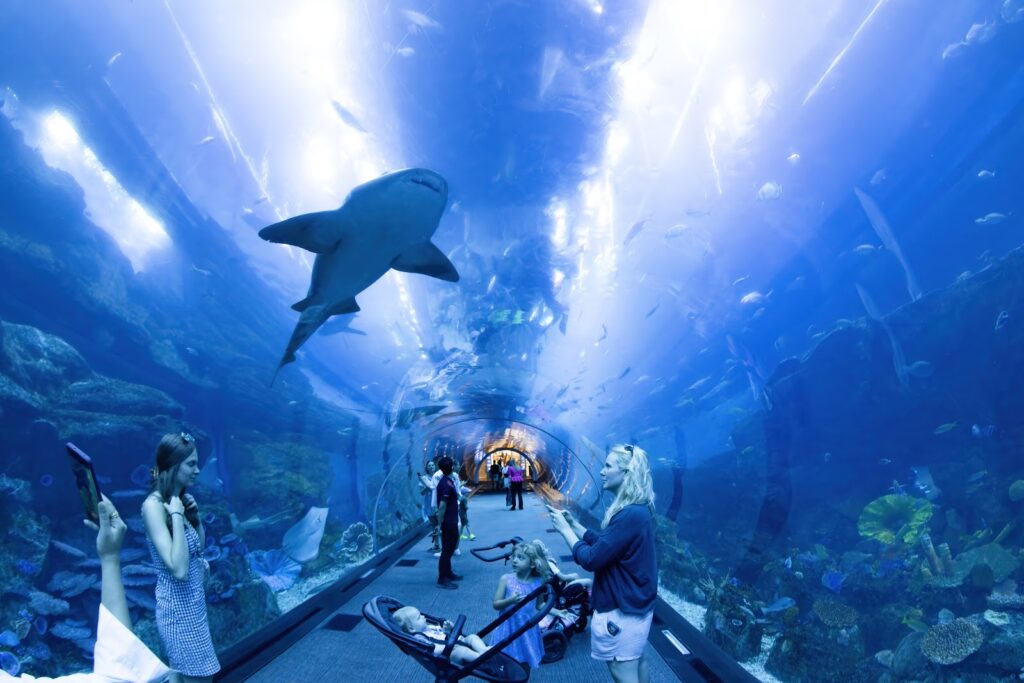 Dubai Aquarium & Underwater Zoo