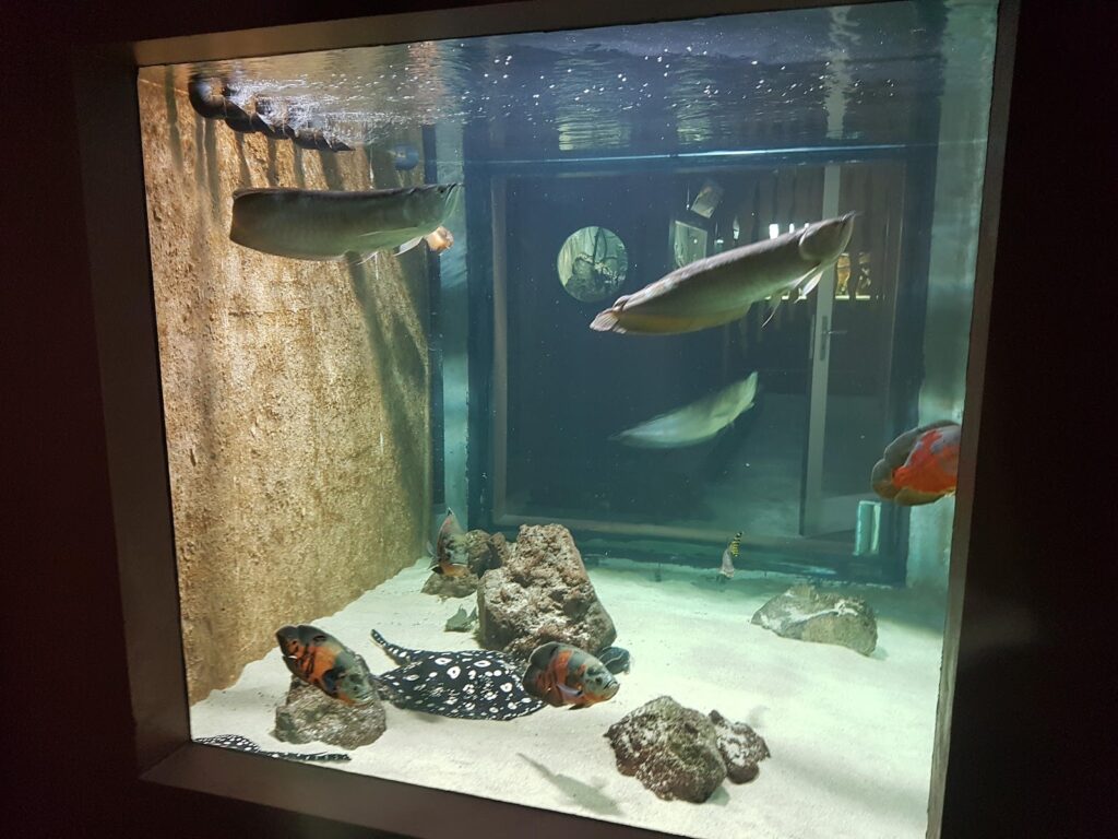 Aquarium des Tropiques