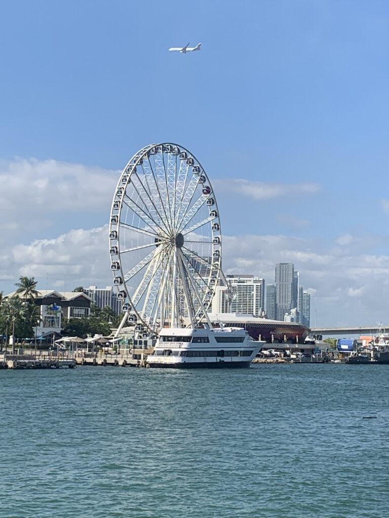 Skyviews Miami Observation Wheel