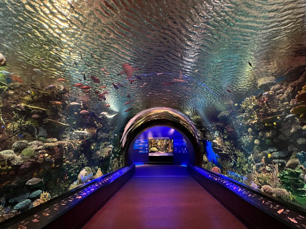 Aquarium de New York